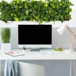 10 Đồ Trang Trí Bàn Làm Việc Hợp Phong Thủy Nâng Cao Vận Khí