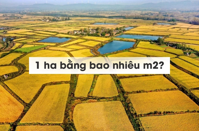 1ha bằng bao nhiêu m2?