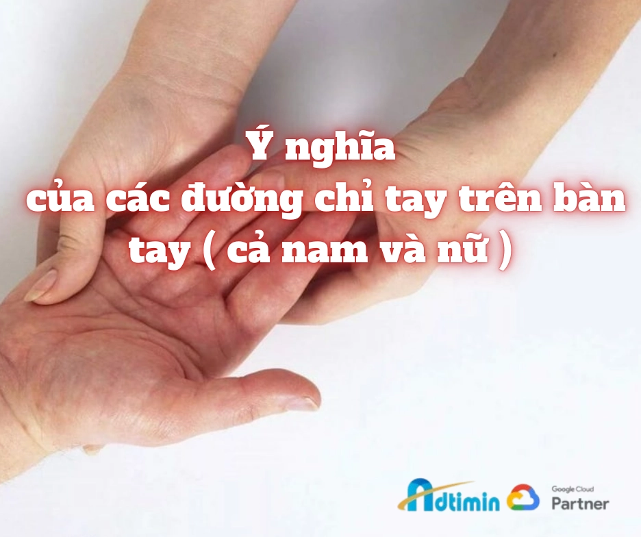 Bật Mí Cách Xem Chỉ Tay Đường Sinh Mệnh Chuẩn Xác: Biết Ngay Phúc Họa Dài Lâu