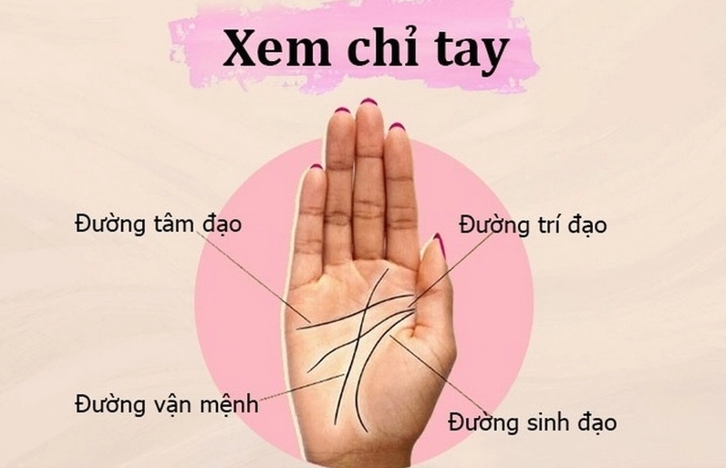 Bí Quyết Và Cách Xem Chỉ Tay Chi Tiết Cho Nam Và Nữ