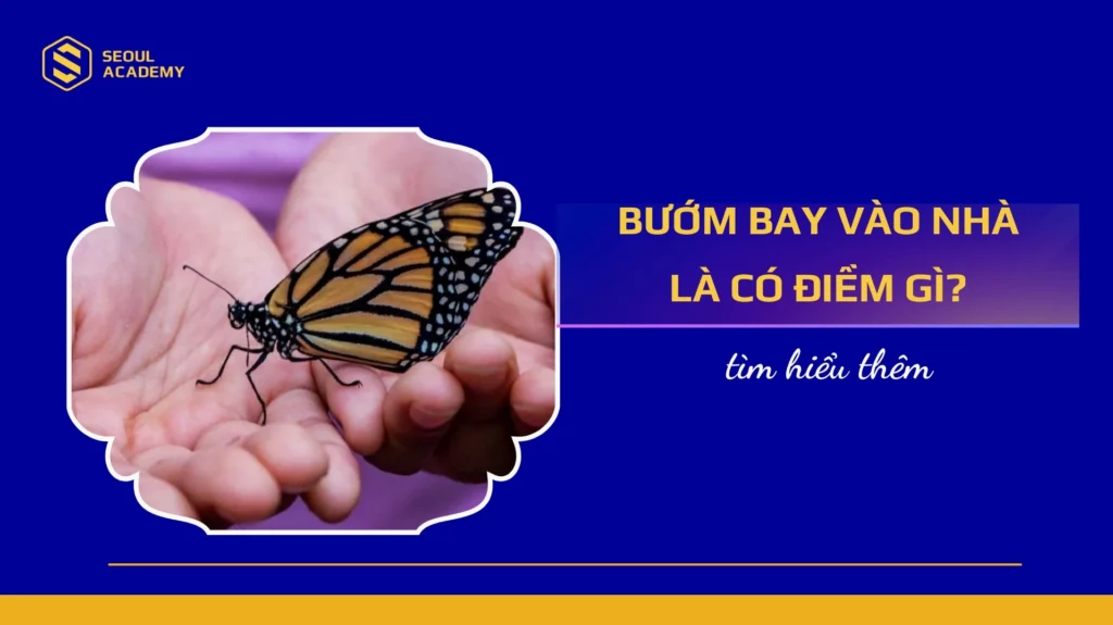 Bướm Đậu Vào Người Đánh Số Gì? Giải Mã Điềm Báo Và Con Số May Mắn