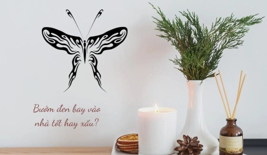 Bướm đen bay vào nhà mang điềm báo gì
