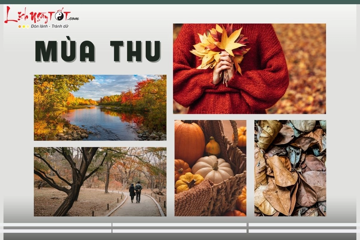 các mùa trong năm
