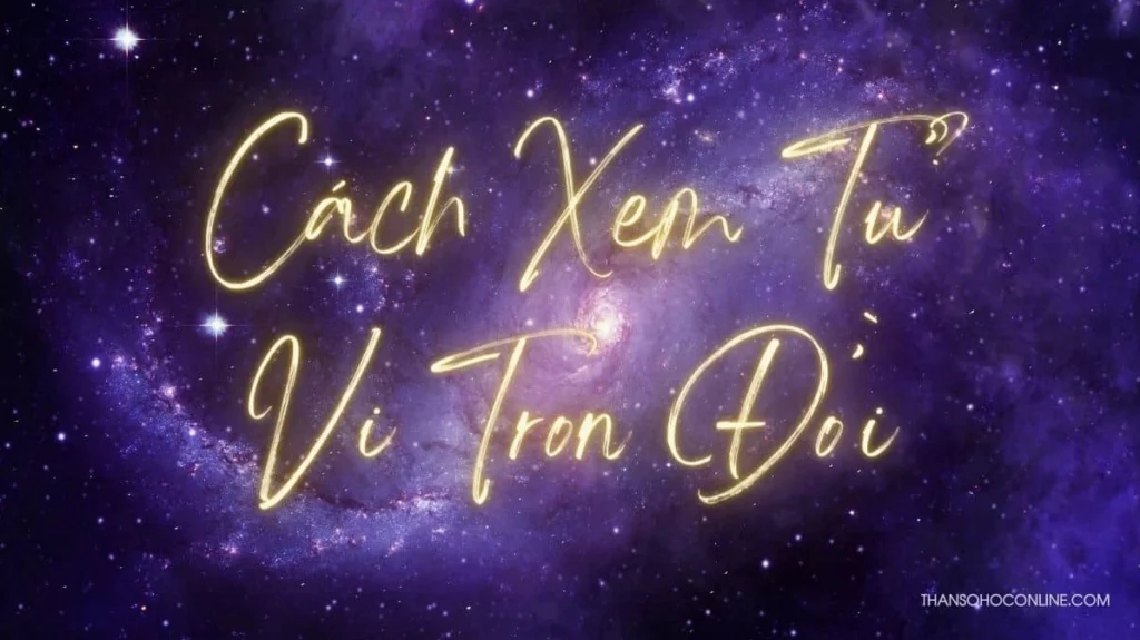 Cách Xem Lá Số Tử Vi Chuẩn Xác Cho Người Mới Bắt Đầu