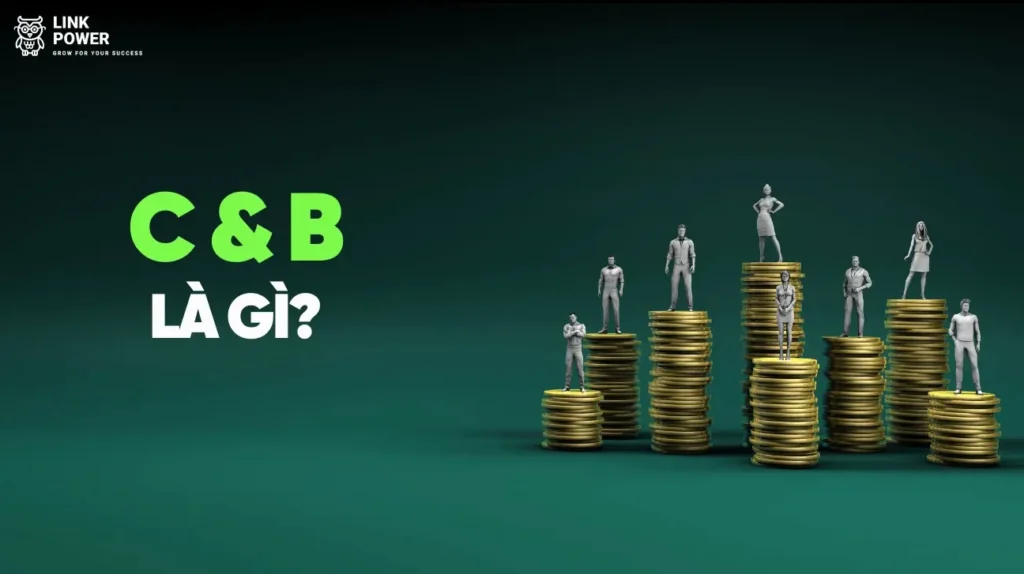 C&B Là Gì? Toàn Tập Về Công Việc, Vai Trò & Kỹ Năng Của Chuyên Viên C&B