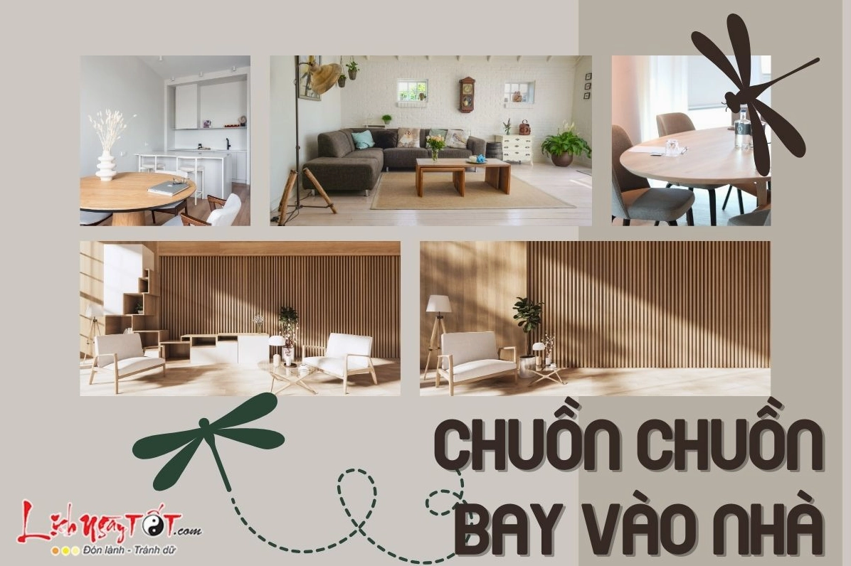 Chuồn chuồn bay vào nhà mang điềm báo gì