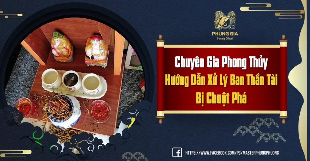 Con chuột số bao nhiêu? Giải mã điềm báo giấc mơ chi tiết nhất