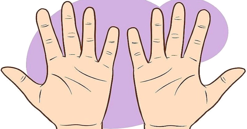 Con Gái Xem Chỉ Tay Bên Nào? Hướng Dẫn Cách Xem Chuẩn Xác Nhất 2026