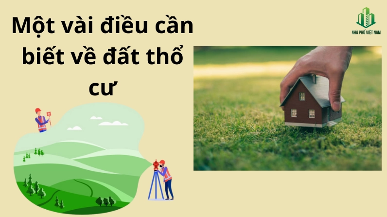 Đất Thổ Cư Là Gì? Toàn Bộ Kiến Thức Bắt Buộc Phải Biết Khi Mua Bán Đất 2026