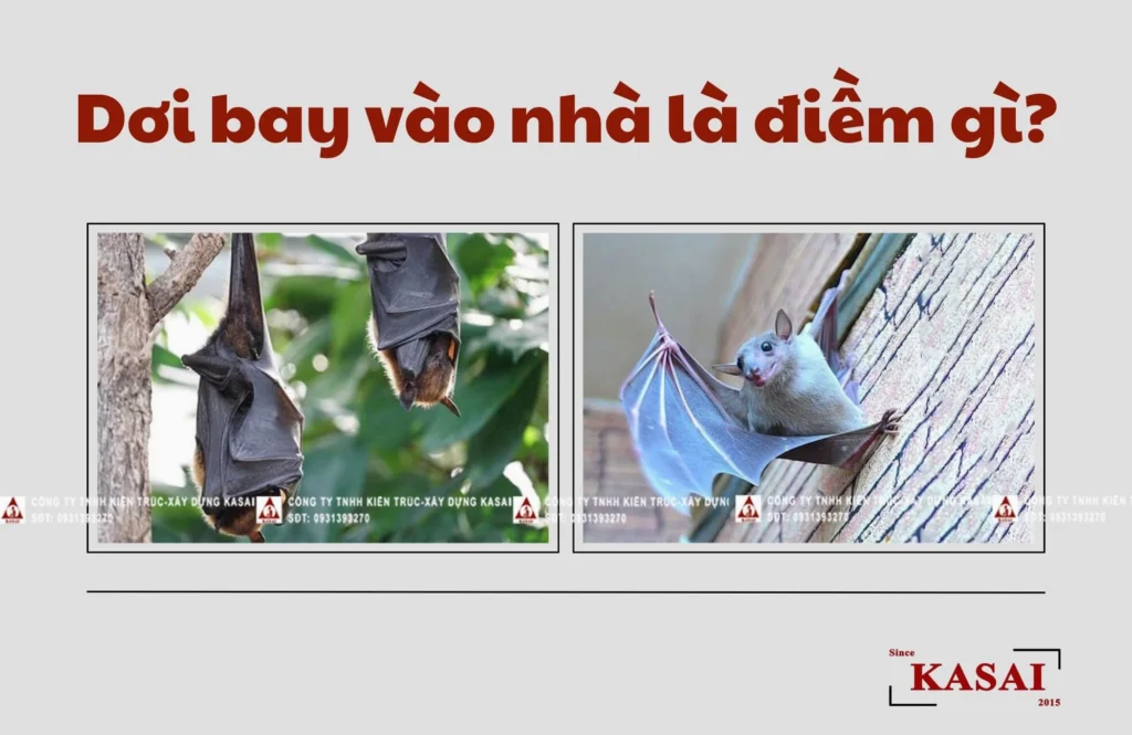 Dơi bay vào nhà là điềm gì? Giải mã điềm báo tốt xấu chi tiết 2026