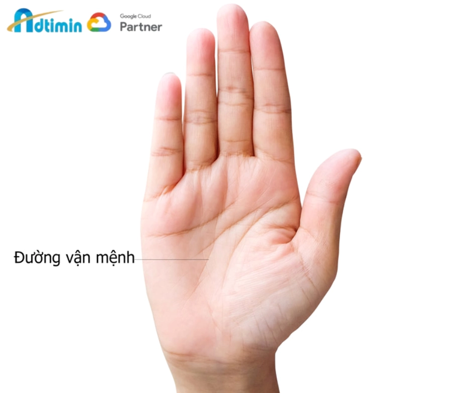 Đường định mệnh