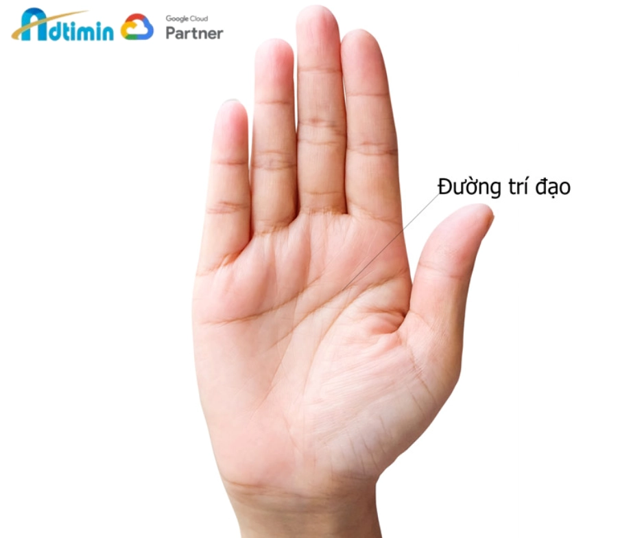 Đường trí đạo (Đường học vấn)