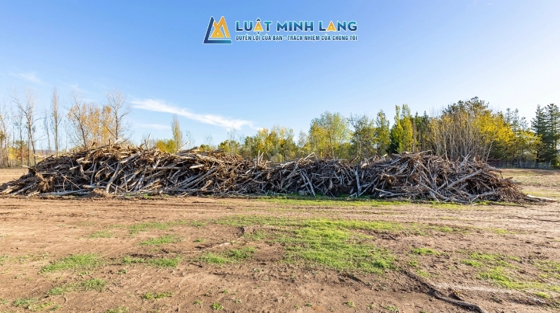 Giải đáp thắc mắc về thuế đất thổ cư và các loại thuế liên quan