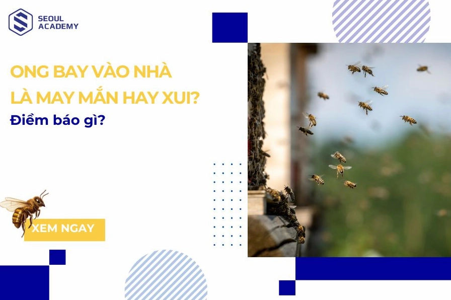 Giải Mã: Con Ong Số Bao Nhiêu? Mơ Thấy Ong Là Điềm Gì & Đánh Con Gì Dễ Trúng?