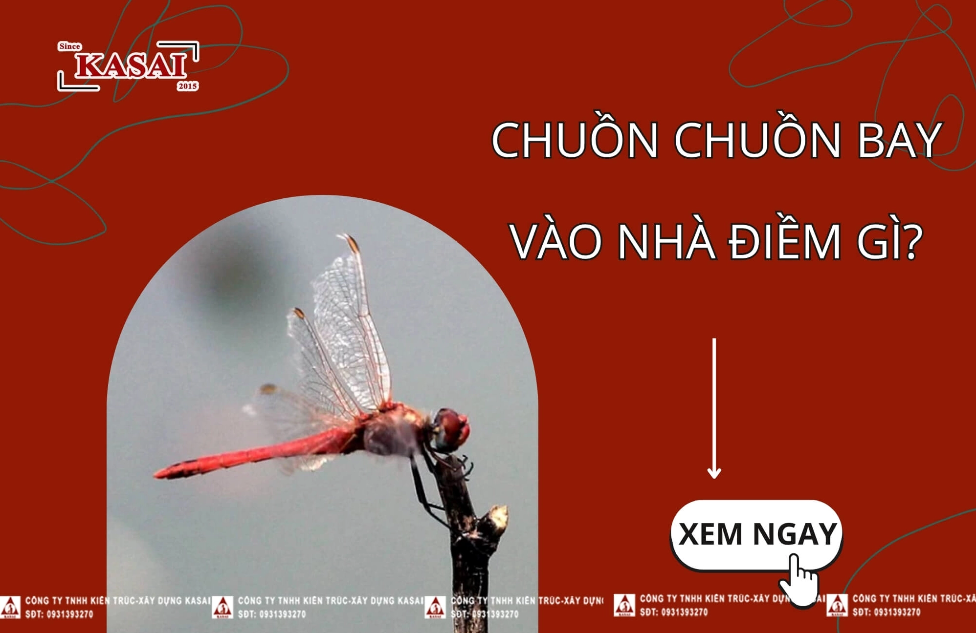 Giải mã điềm báo chuồn chuồn bay vào nhà