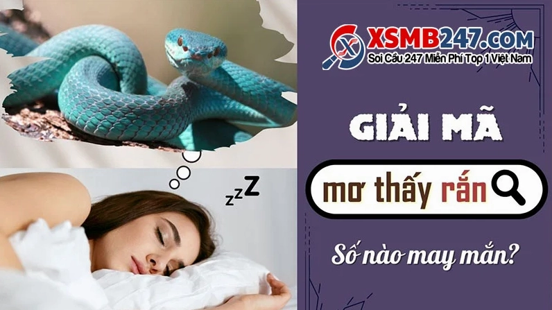Giải mã giấc mơ về rắn chi tiết nhất