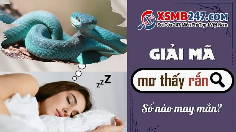 Giải mã giấc mơ về rắn