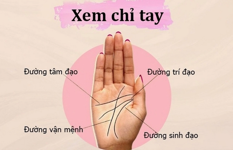 Giải Mã: Xem Chỉ Tay Có Đúng Không Và Những Sự Thật Cần Biết