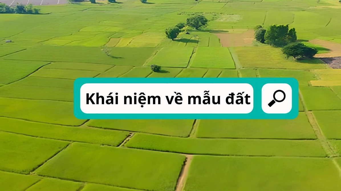 Giải thích đơn vị Mẫu là gì trong đo lường đất đai