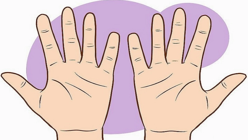 Gợi ý cách xem chỉ tay nữ đơn giản, dễ hiểu