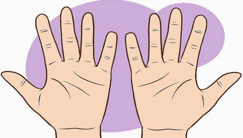 Gợi ý cách xem chỉ tay nữ đơn giản, dễ hiểu