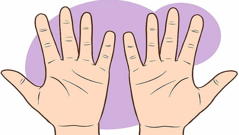 Gợi ý cách xem chỉ tay nữ đơn giản, dễ hiểu