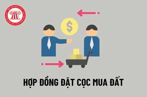 Hợp Đồng Đặt Cọc Mua Bán Đất 2026: Tránh Rủi Ro & Đảm Bảo An Toàn Pháp Lý