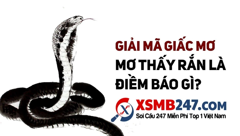 Mơ thấy ổ rắn nhỏ điềm báo gì