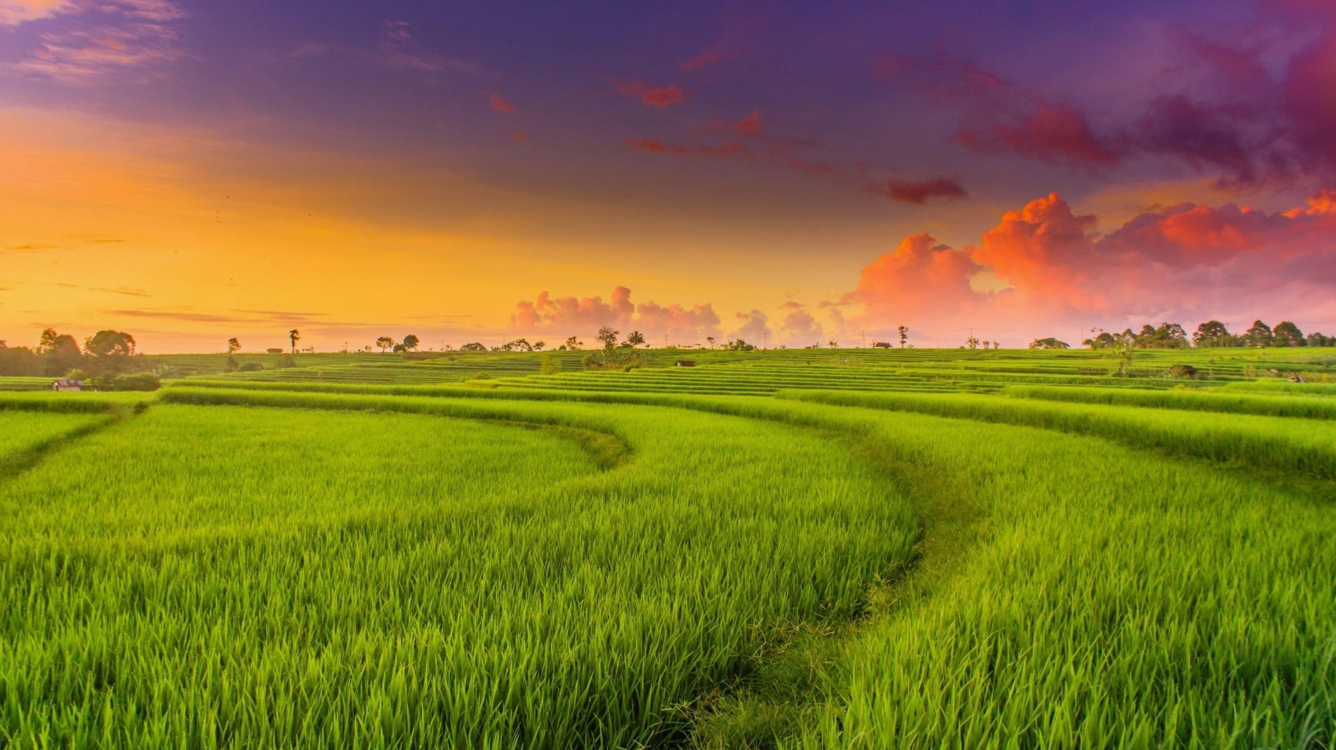Mối quan hệ giữa đơn vị Mẫu và Sào
