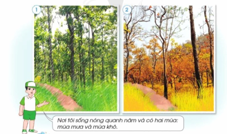 Mùa mưa bắt đầu từ tháng mấy? Thời gian và đặc điểm mùa mưa ở Việt Nam năm 2026