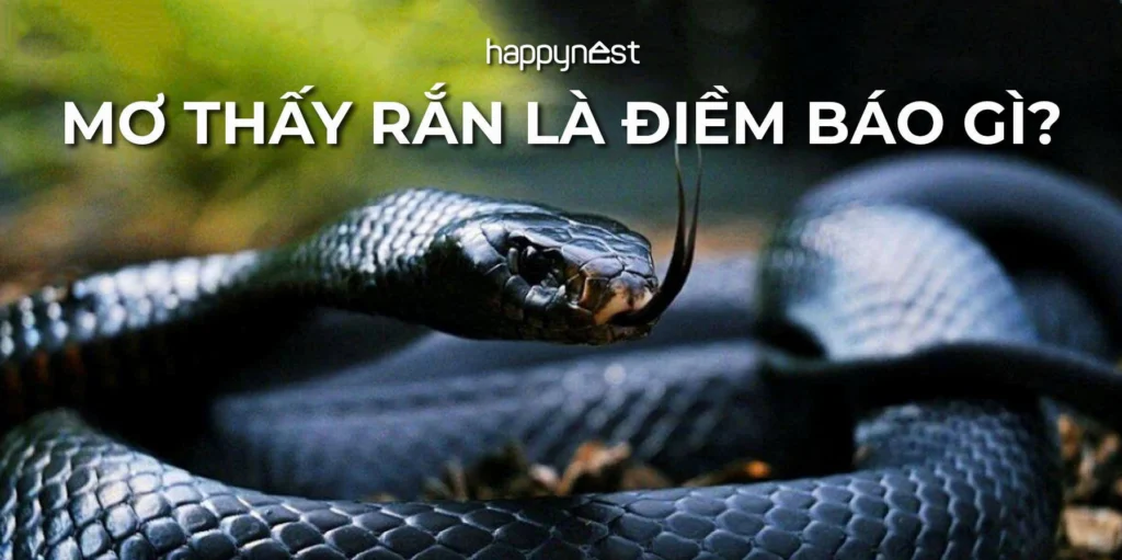 Nằm mơ thấy rắn cắn là điềm báo gì? Giải mã giấc mơ chi tiết