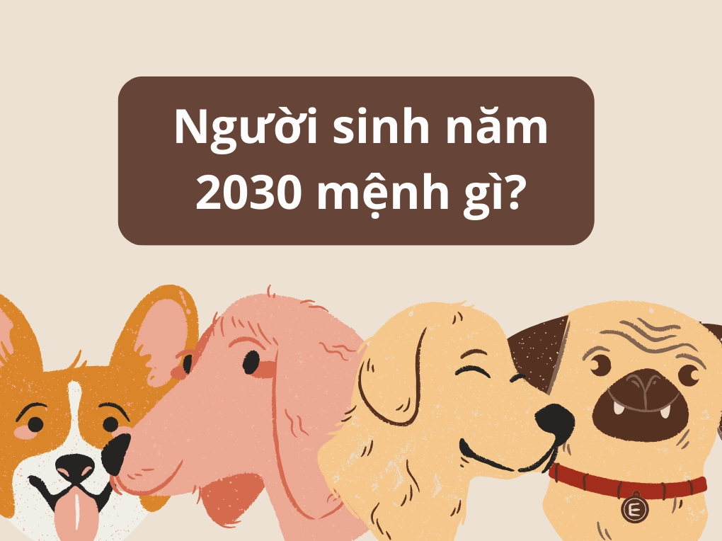 Người sinh năm 2030 mệnh gì?