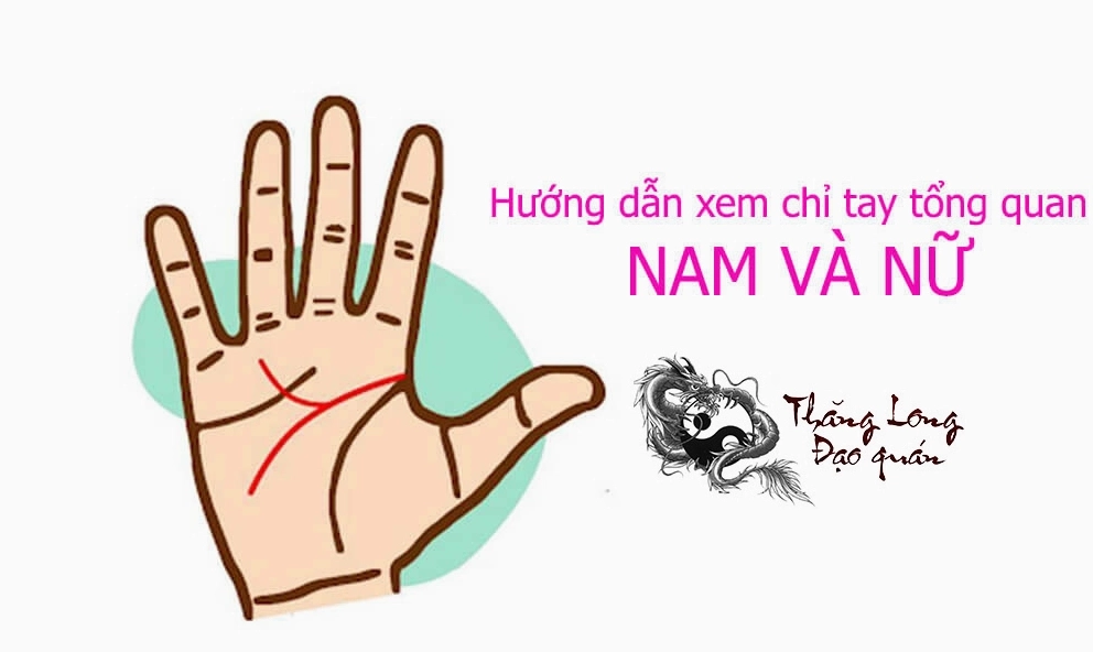 Nguồn gốc xem đường chỉ tay nam và nữ