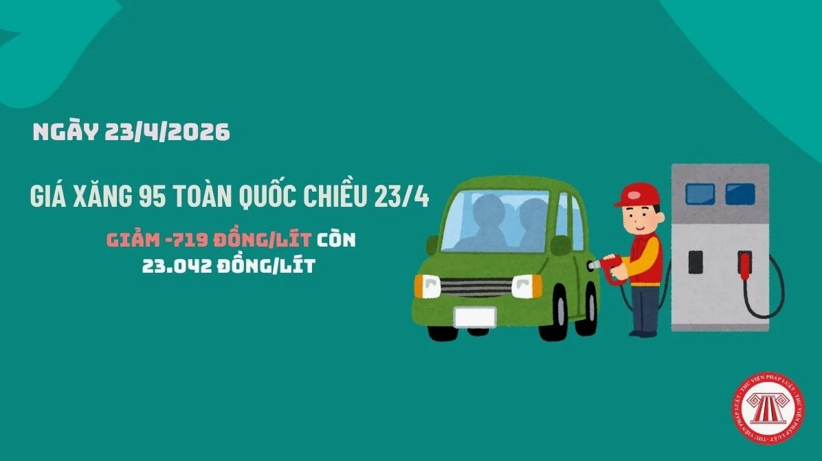 Pháp luật