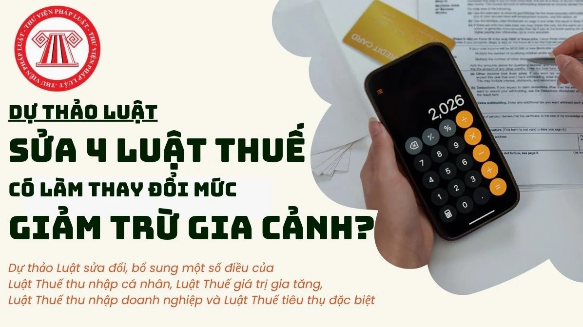 Pháp luật