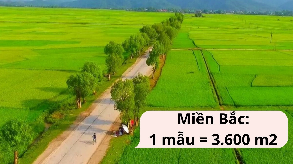Quy đổi 1 mẫu bằng bao nhiêu m2 tại miền Bắc Việt Nam