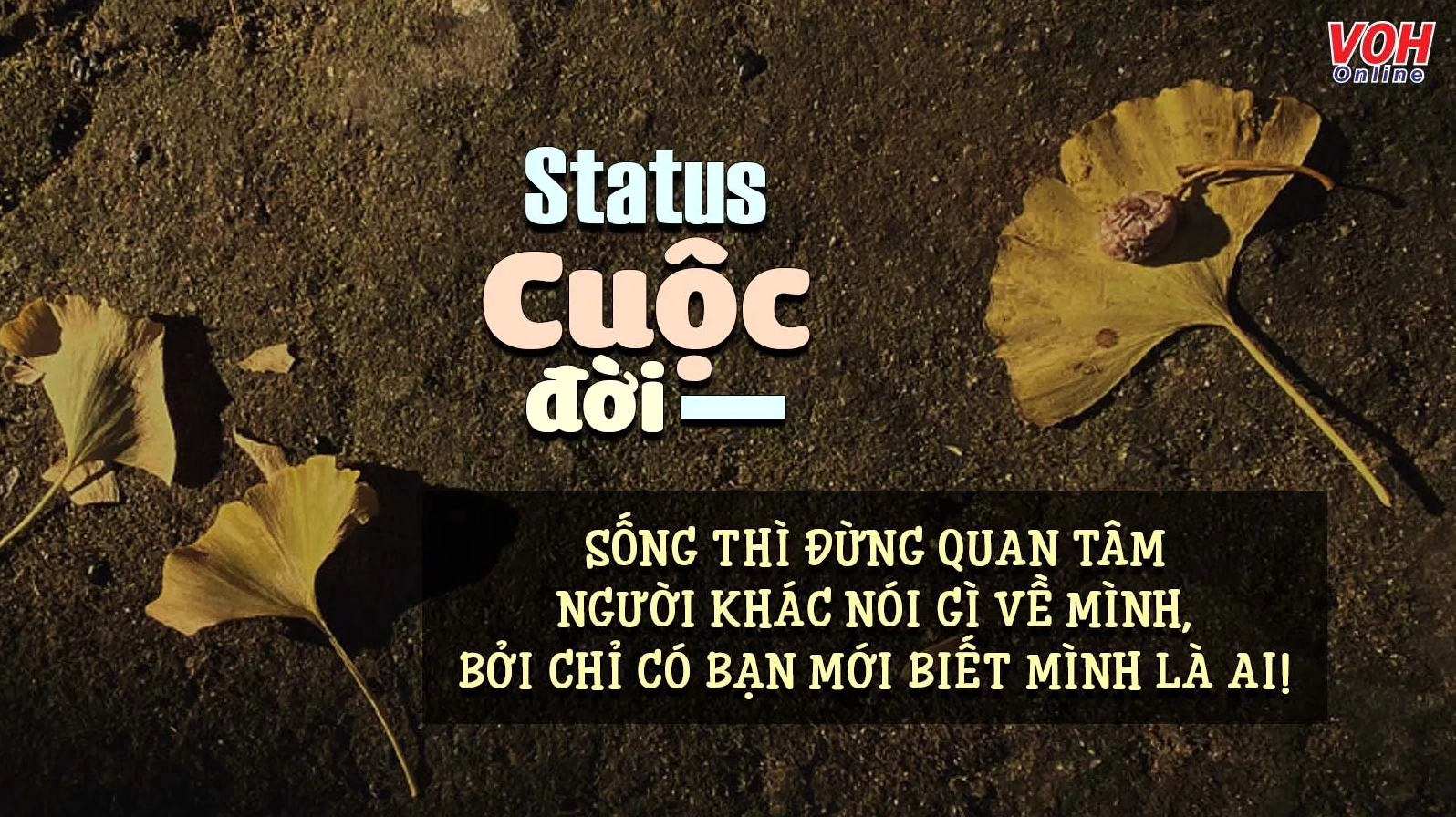 status về cuộc đời bạc bẽo, cap hay về cuộc đời buồn sóng gió