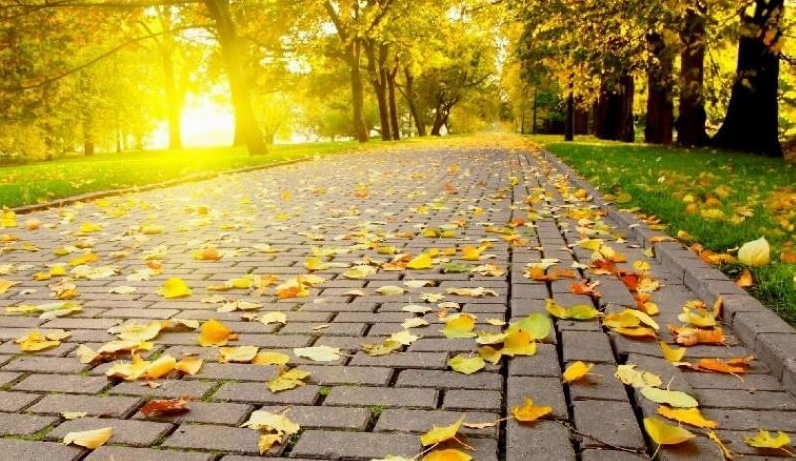 Tìm hiểu mùa thu bắt đầu từ tháng mấy và khám phá vẻ đẹp lãng mạn của mùa thu qua sự thay đổi của thiên nhiên.