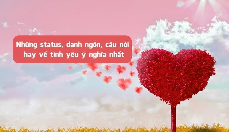 Tổng Hợp Những Câu Nói Hay Về Tình Yêu Chạm Đến Trái Tim