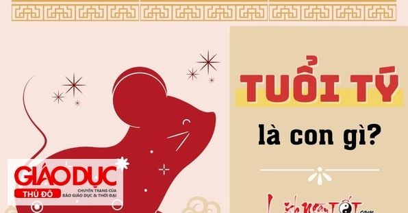Tuổi Tý Năm Nay Bao Nhiêu Tuổi? Bí Ẩn Tử Vi & Phong Thủy Cho Tuổi Tý