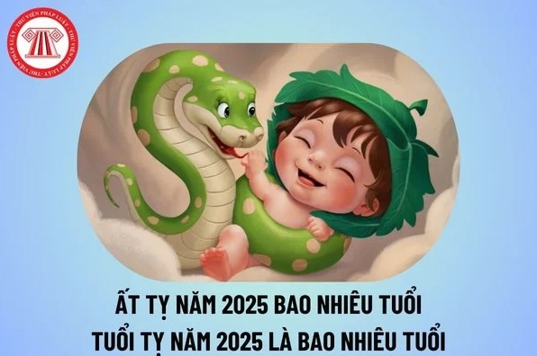 Tuổi Tỵ Năm Nay Bao Nhiêu Tuổi? Giải Mã Từ A-Z Về Năm Sinh, Vận Mệnh
