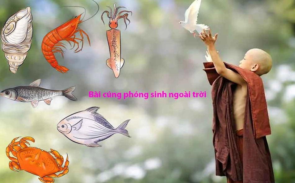 Văn khấn phóng sinh đơn giản, chuẩn xác nhất đem lại phước báu