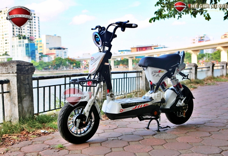 Với ngân sách dưới 5 triệu, việc chọn xe đạp điện cần cân nhắc kỹ về công suất động cơ, quãng đường di chuyển, chất lượng pin/ắc quy, thiết kế, tính năng an toàn và thương hiệu.