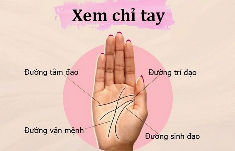 xem bói chỉ tay online miễn phí chính xác
