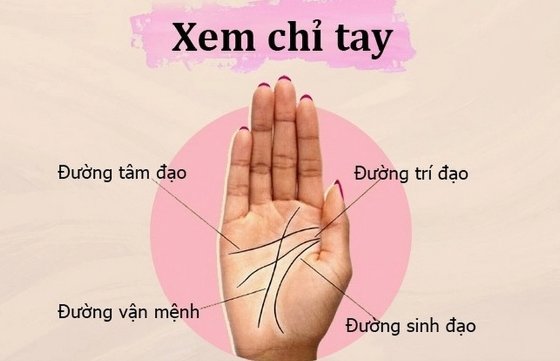 xem bói chỉ tay online miễn phí chính xác