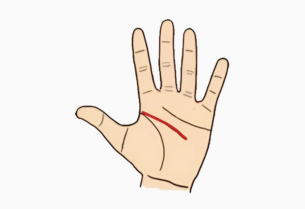 Xem chỉ tay đường học vấn (Nguồn ảnh: Internet)