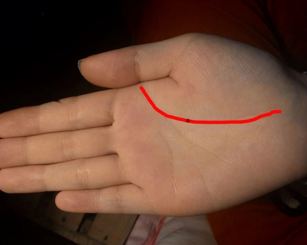 Xem chỉ tay đường sinh mệnh (Nguồn ảnh: Internet)