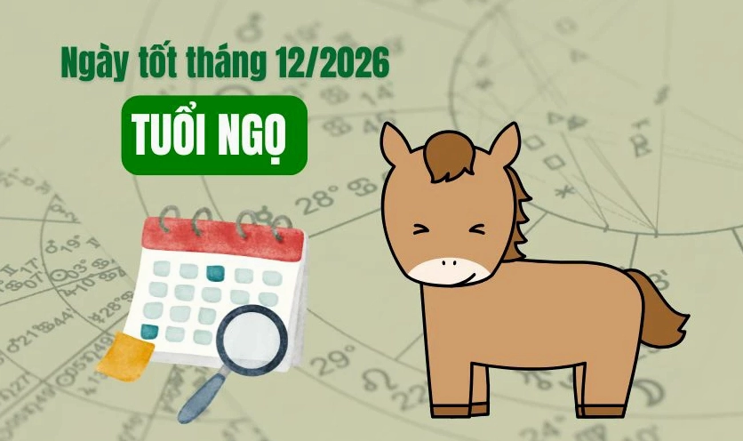 Xem ngày tốt tháng 12 năm 2026 tuổi Ngọ gặp nhiều may mắn