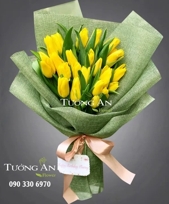 Ý Nghĩa Hoa Tulip Trắng: Biểu Tượng Tình Yêu Tinh Khôi Cần Biết